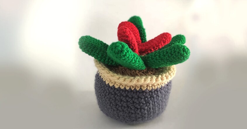 style-factor-sanjana-shafik-s-khwaab-yarns-focuses-on-amigurumi-crocheted-dolls style-factor-sanjana-shafik-s-khwaab-yarns-focuses-on-amigurumi-crocheted-dolls